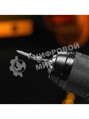 Набор бит Denzel двухстор., PH2-PH2х45 мм, сталь S2, 10 шт.