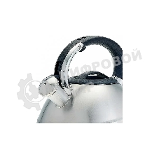 Чайник для плиты ALPENKOK AK-531 3 л