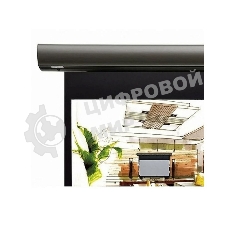 Экран с электроприводом Lumien Cinema Control 241x400 см (раб.область 220х390 см) Matte White черная кайма по периметру, серый корпус, 16:9