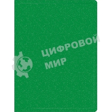 Папка с 40 прозрачными вкладками Silwerhof Eco A4, пластик, 0.5мм, зеленый