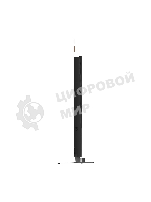 Телевизор Skyworth 55