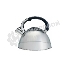 Чайник для плиты ALPENKOK AK-531 3 л