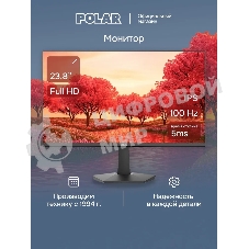 Монитор POLAR P24F12M