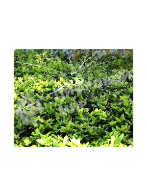 Дождеватель-разбрызгиватель круговой вращающийся 3-х сопловый Deli DL581301 2 режима распыления, площадь орошения до 310кв.м, диаметр шланга 3/4