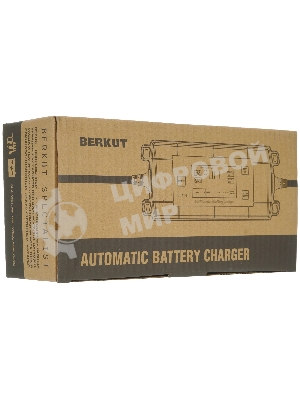 Зарядное устройство Berkut BCA-4