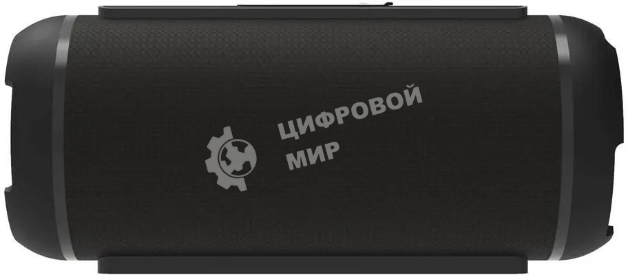 Портативная колонка Ritmix SP-320B черный