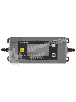 Зарядное устройство Berkut BCA-4