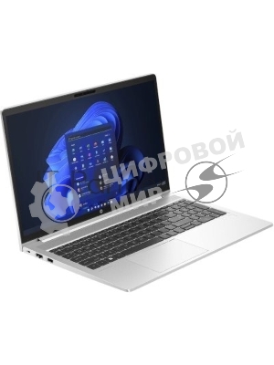 Ноутбук HP ProBook 450 G10 (7L702ET_32) Intel Core i7 1355U 1700MHz/15.6