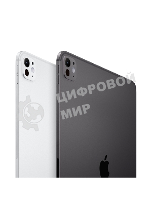 Планшет Apple iPad Pro 2024 A2836 11