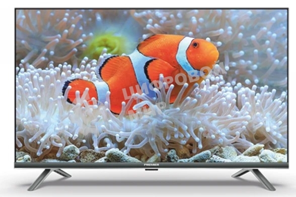Телевизор PREMIER 55