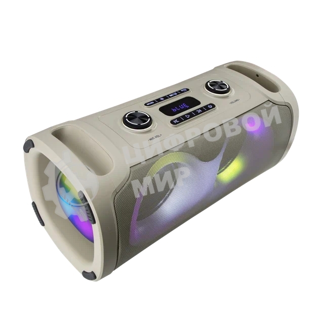 Акустическая колонка Eltronic DANCE BOX 900 - колонка 06