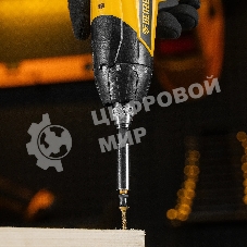 Набор бит Denzel PZ1х25, сталь S2, шестигранный профиль, 10 шт.