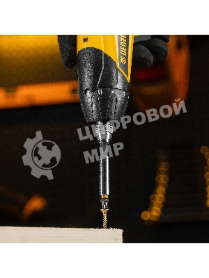 Набор бит Denzel PZ1х25, сталь S2, шестигранный профиль, 10 шт.