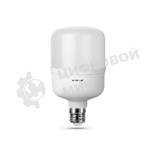 Лампа светодиодная ERGOLUX (14332) LED-HW-90W-E40-6K серия PRO