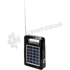 Радиоприемник портативный Сигнал Vikend Traveler черный USB SD/MMC