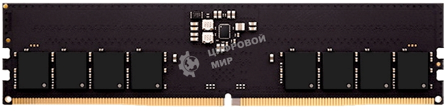 Оперативная память AMD Radeon Entertainment Series, DDR5, 32GB (1x32GB), 4800 MHz, CL40, без радиатора