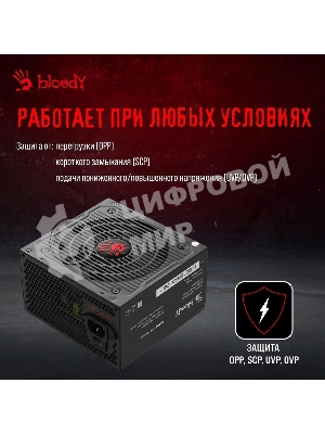 Блок питания Bloody BD-PS700W, 700Вт, 80 PLUS WHITE, 120мм, черный