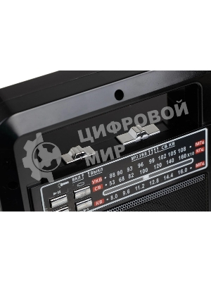 Радиоприемник портативный Сигнал Vikend Traveler черный USB SD/MMC