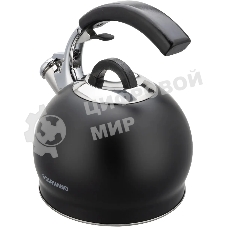 Чайник для плиты металлический Starwind Chef Concept 3 л. черный (SW-CH1510)