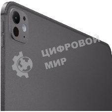 Планшет Apple iPad Pro 2024 A2926 13