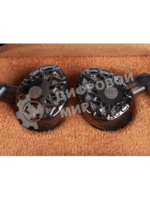 Проводные наушники Icon Zen Earth черный, внутриканальные, проводной