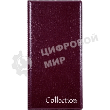 Папка с 20 прозрачными вкладками Silwerhof Кляссер ПВХ 0.25мм, бордовый