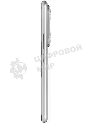 Смартфон HONOR 400 PRO 5109BUTM 12/512Gb, серый