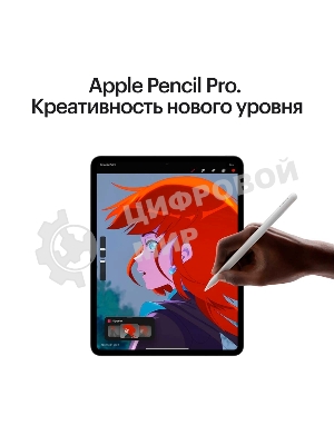 Планшет Apple iPad Pro 2024 A2837 11
