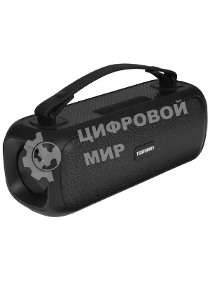 Портативная аудиосистема Telefunken TF-PS1281B (черный)