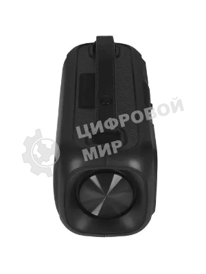 Портативная аудиосистема Telefunken TF-PS1281B (черный)