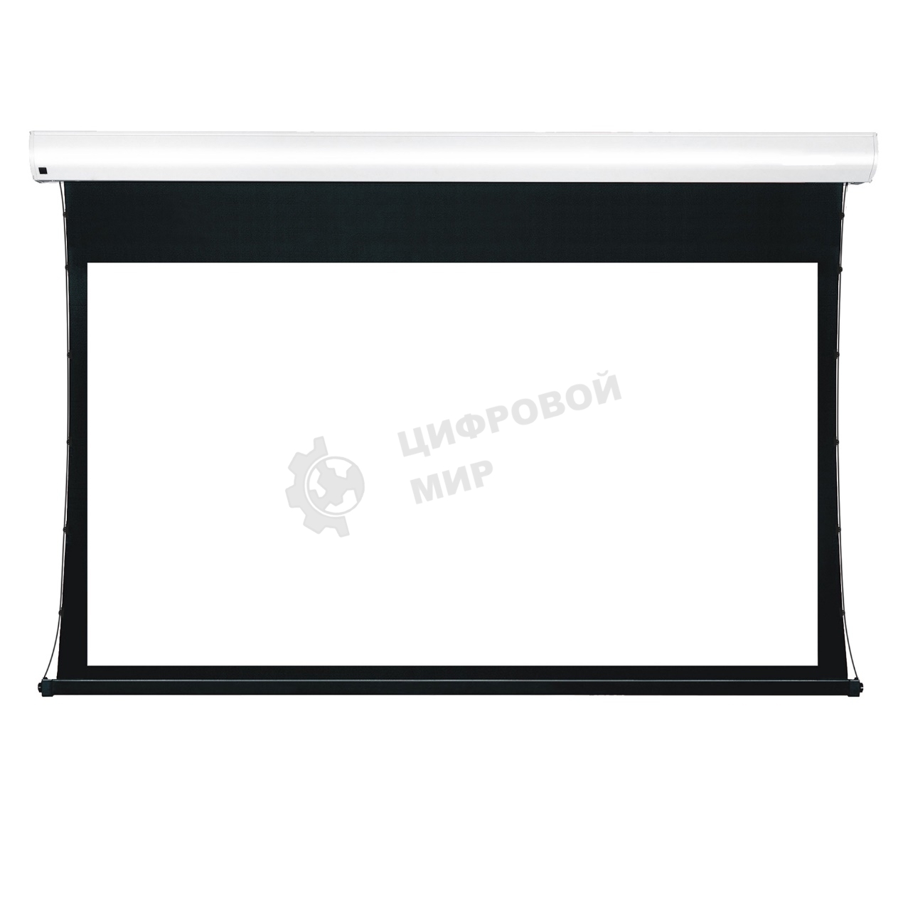 Экран для проектора S'OK Apollo SGPSMT-294x166A-BK бокового натяжения, звукопрозрачный, черный