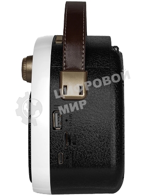 Радиоприемник Ritmix RPR-040 белый