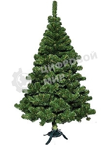 Ель Сибирская 1,8 м 0118