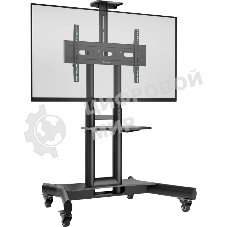 Мобильная стойка для интерактивной панели ONKRON TS1551