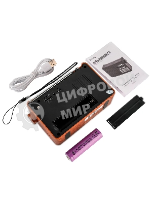 Радиоприемник PERFEO (PF_D0573) ALPINIST, коричневый