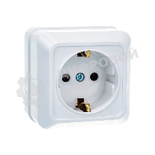 Розетка 1-м BOLLETO с заземл. накл. 7028 белый ASD/IN HOME 4680005959792