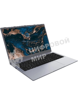 Ноутбук Digma Pro Parvus M Ryzen 3 3200U 8Gb SSD 256Gb AMD Radeon 15.6