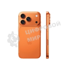 Смартфон Apple iPhone 17 Pro Max 12/2048Gb, оранжевый