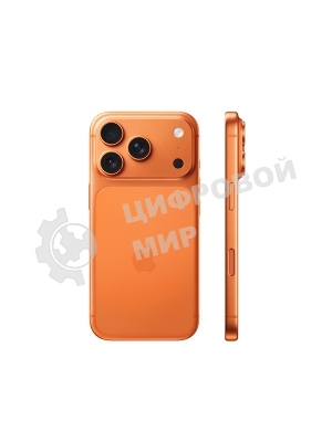 Смартфон Apple iPhone 17 Pro Max 12/2048Gb, оранжевый