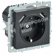 Розетка 1-местная IEK BRITE РЮш10-1-БрЧ (BR-R14-16-U21-D21-K02) 16А, с USB A+A 2.1А, с заземлением с защитными шторками, черный