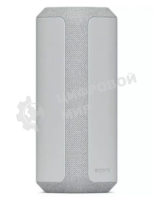 Беспроводная колонка Sony SRS-XE300, серый