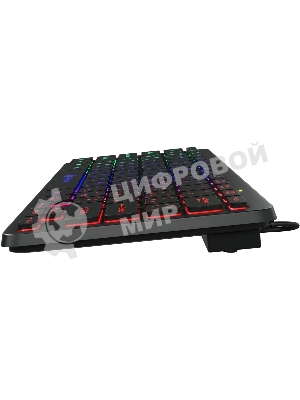 Клавиатура проводная Oklick Oklick 300S черный USB