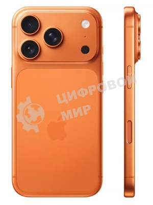 Смартфон Apple iPhone 17 Pro Max 12/512Gb оранжевый