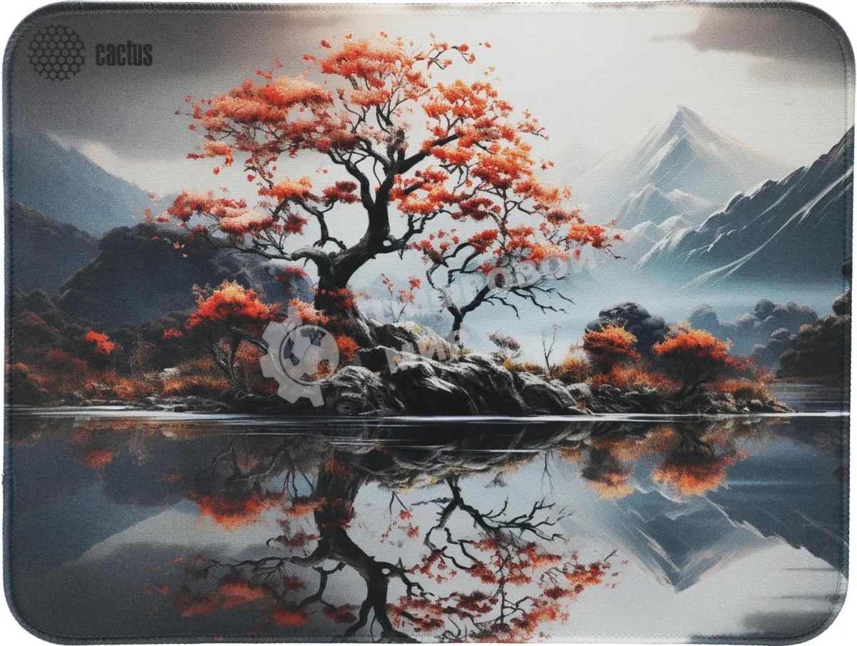 Коврик для мыши Cactus Lake 400x300x3мм (CS-MP-PRO18XL)