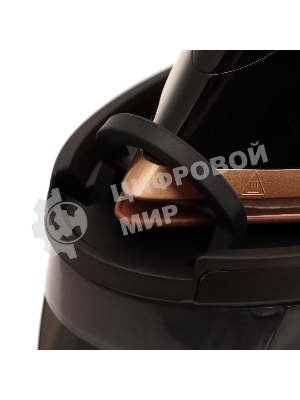 Парогенератор Sakura SA-3065CBK