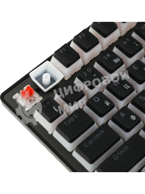 Клавиатура проводная Acer Nitro OKW303, USB, черный