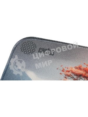 Коврик для мыши Cactus Lake 400x300x3мм (CS-MP-PRO18XL)