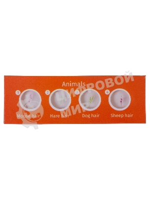 Набор микропрепаратов Levenhuk LABZZ CP24, существа и растения (72870)