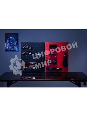 Органайзер Cactus CS-PEGb-RDBK черный/красный