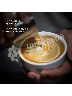 Кофеварка рожковая BQ CM9002 черный, исп. кофе - молотый, 1.4 л, 1450 Вт, 19 бар